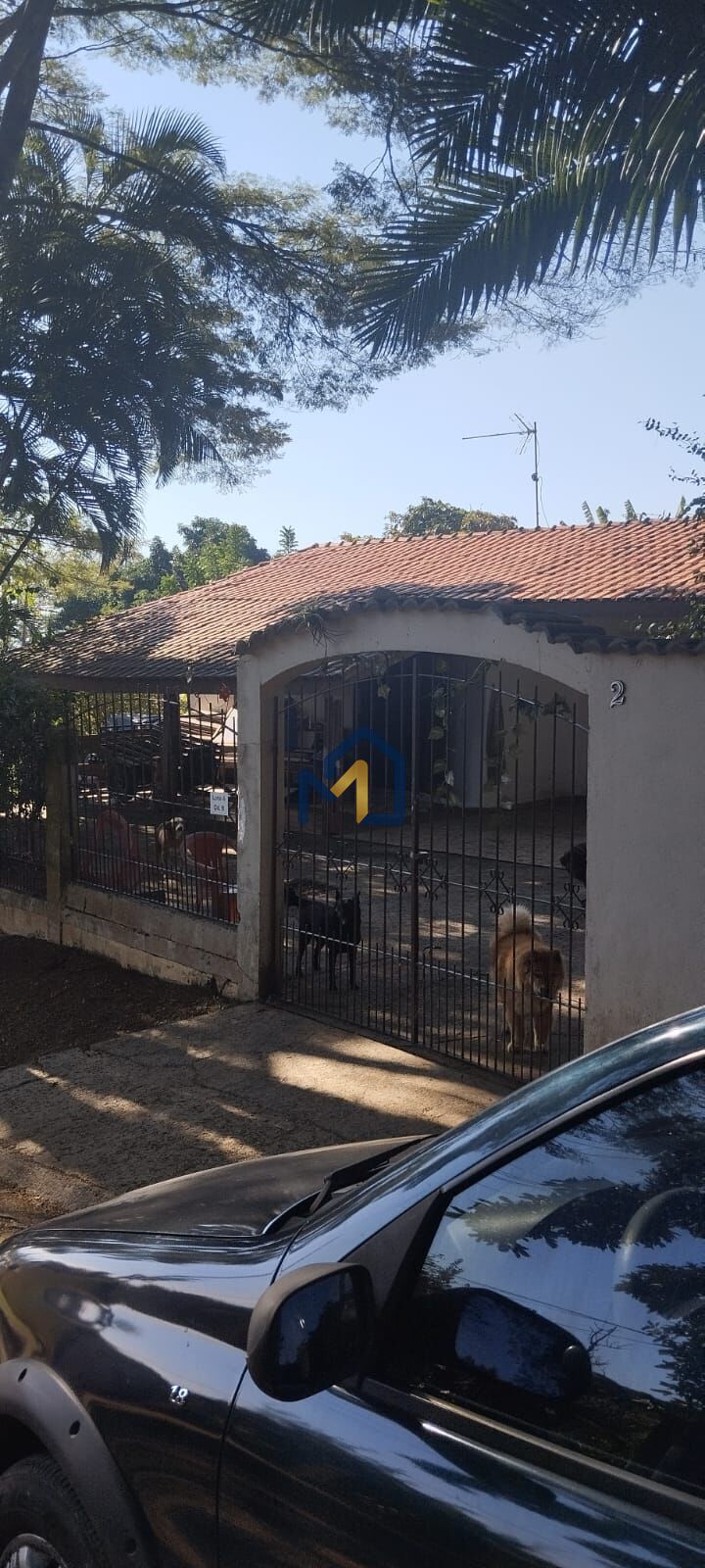 Chácara, 4 quartos, 1200 m² - Foto 5
