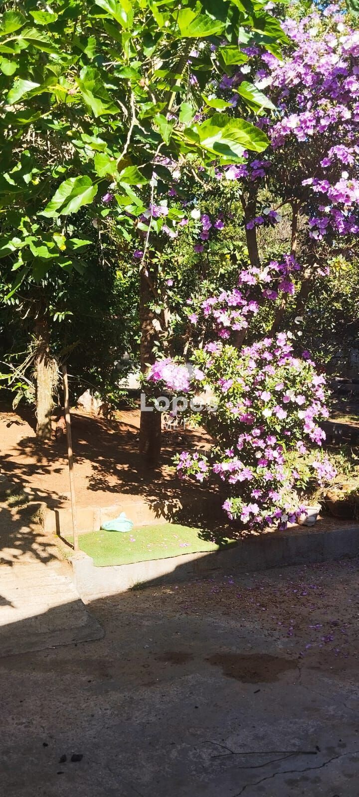 Chácara, 4 quartos, 1200 m² - Foto 28