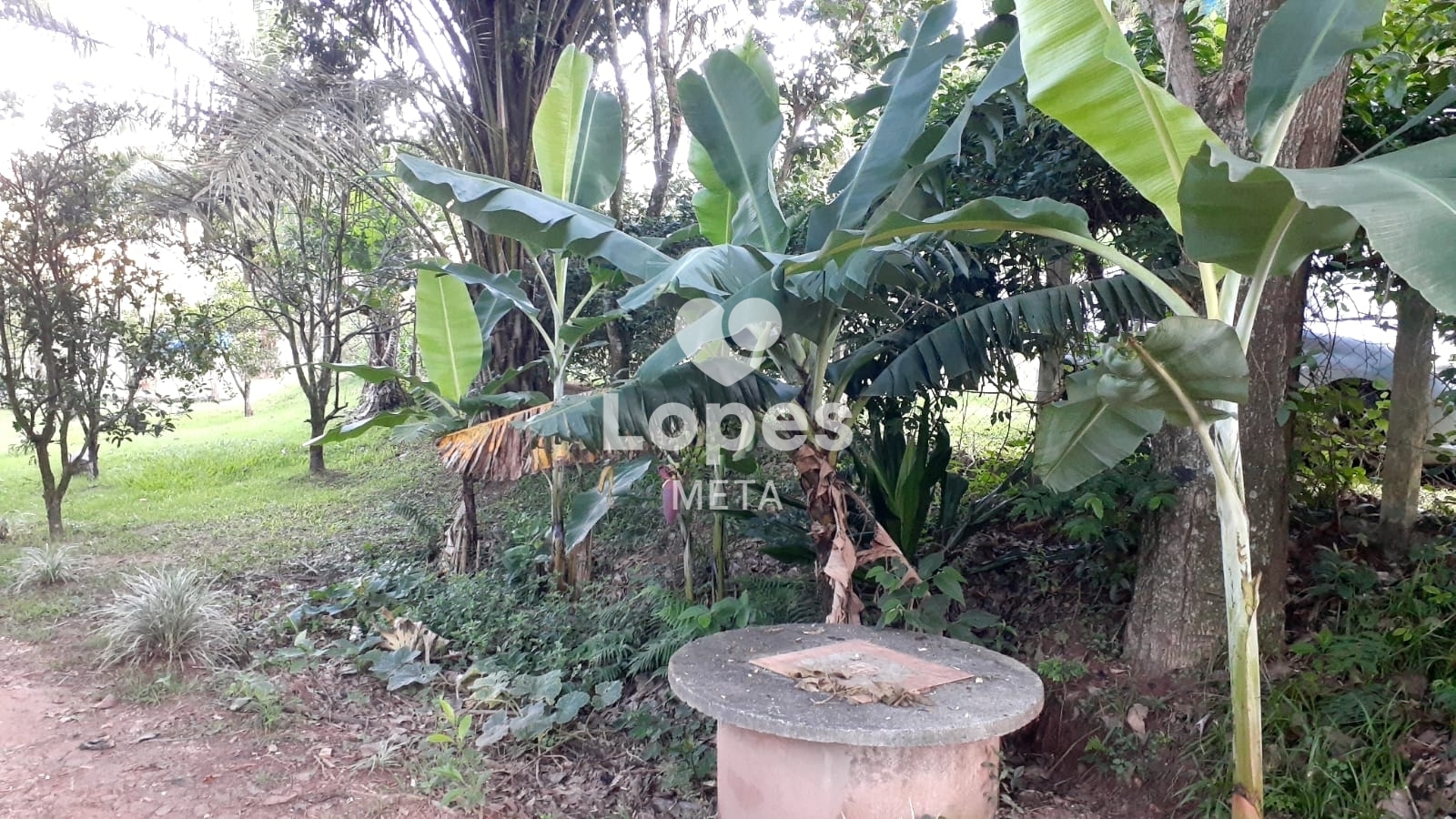 Chácara à venda com 2 quartos, 1300m² - Foto 27