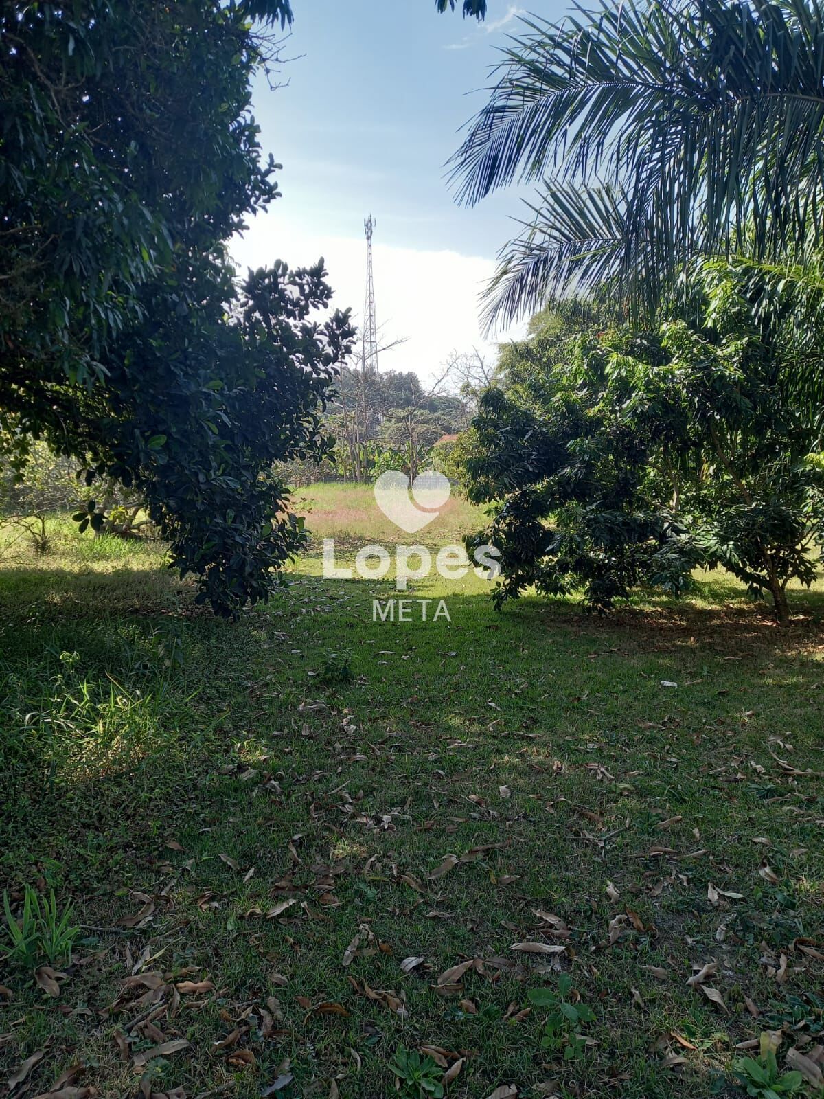 Chácara, 3 quartos, 5000 m² - Foto 38