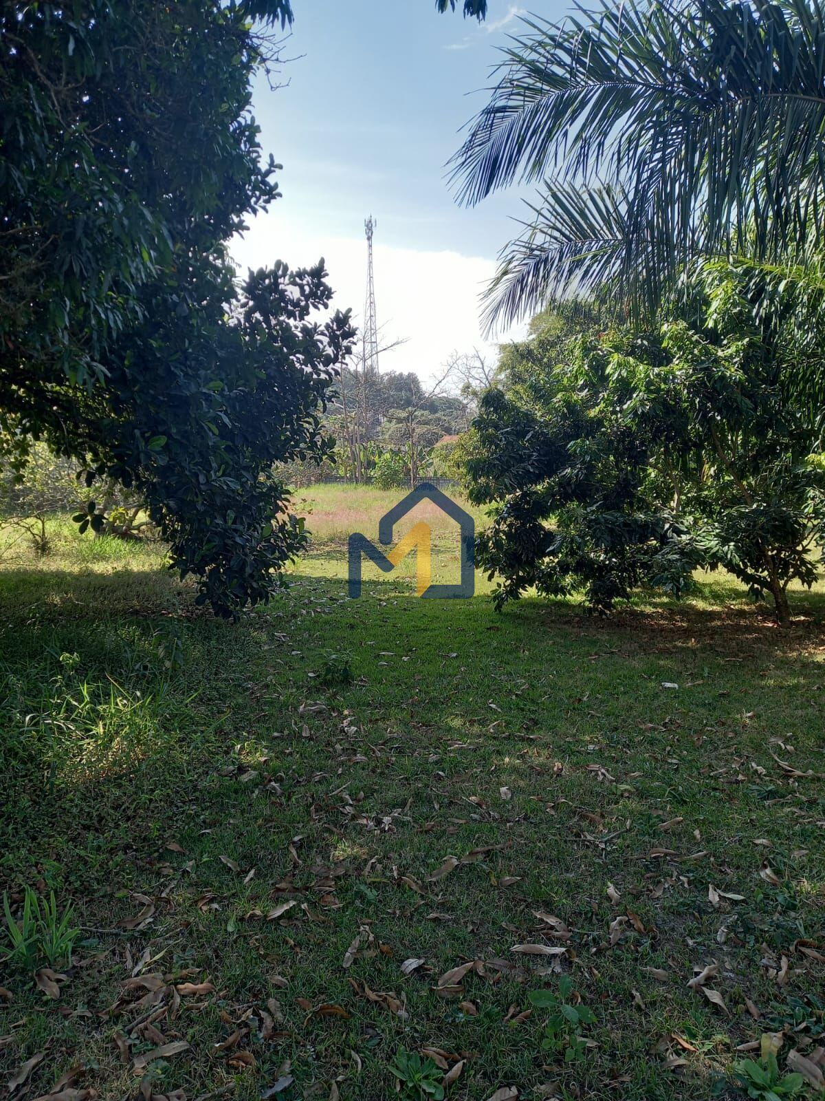 Chácara, 3 quartos, 5000 m² - Foto 38