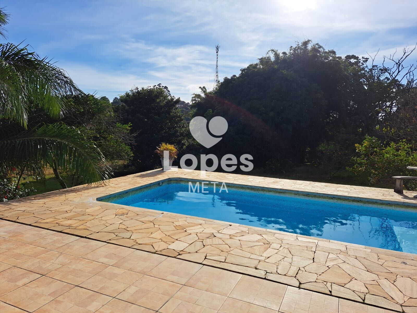 Chácara, 3 quartos, 5000 m² - Foto 2