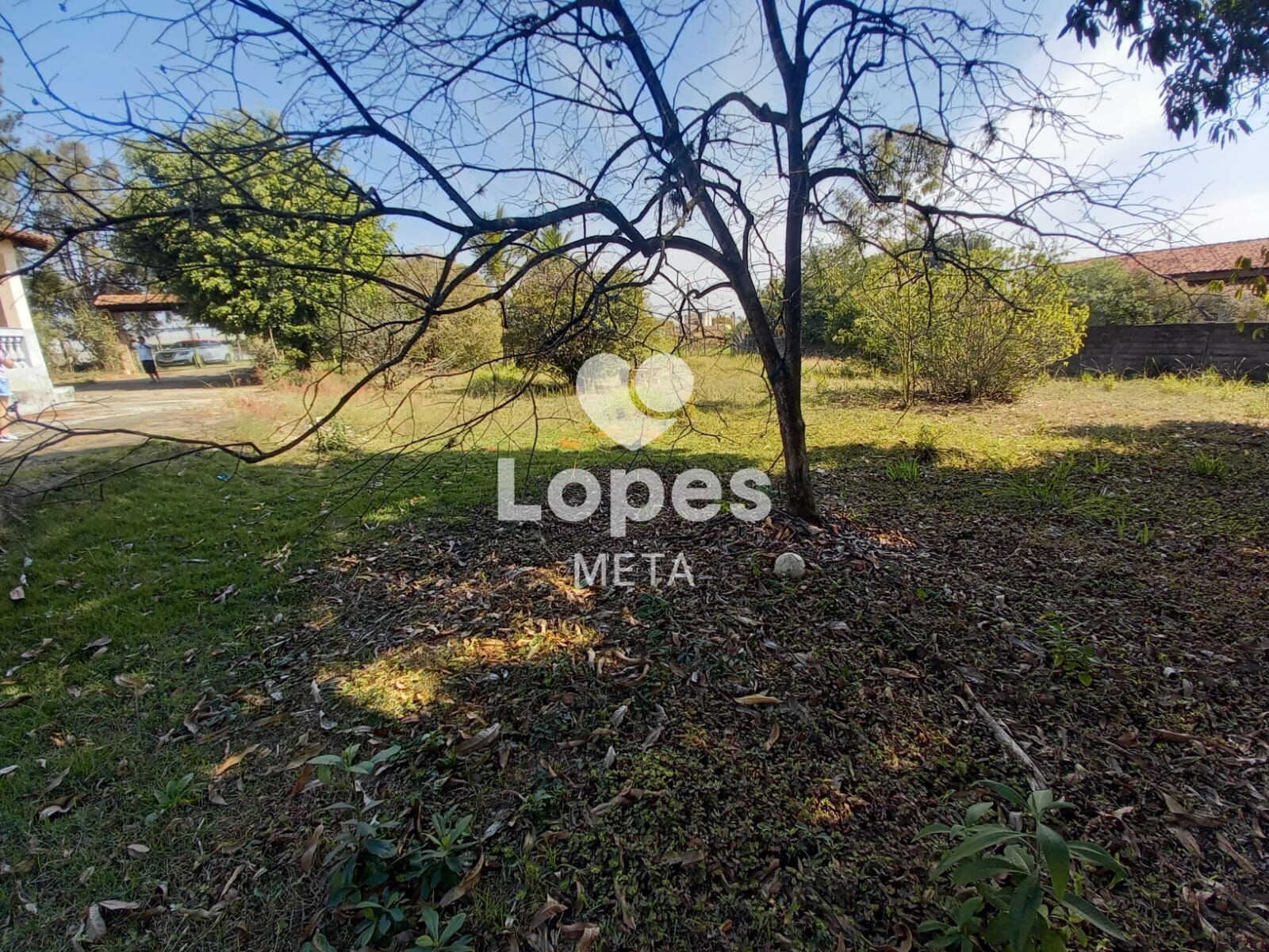 Chácara, 3 quartos, 5000 m² - Foto 40