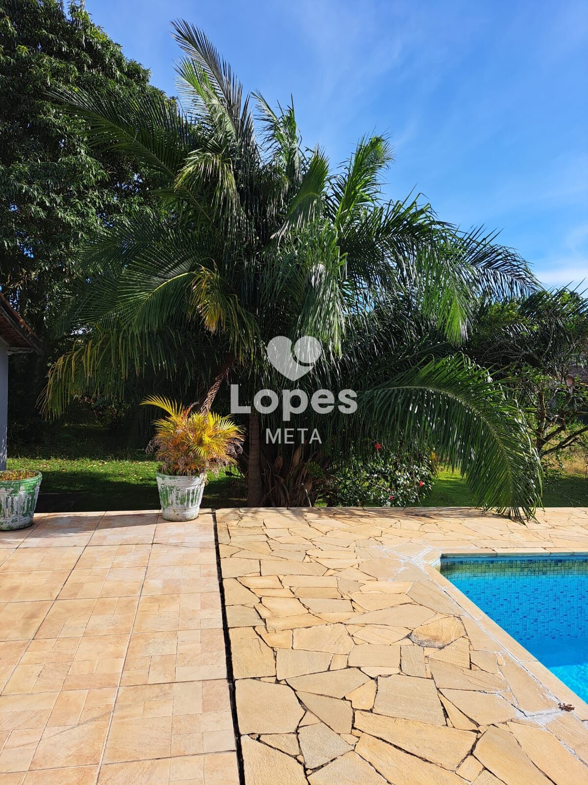 Chácara, 3 quartos, 5000 m² - Foto 4