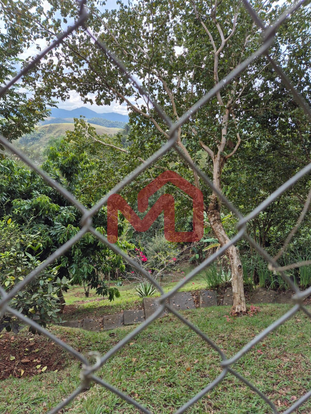 Sítio, 2 quartos, 3860 m² - Foto 6