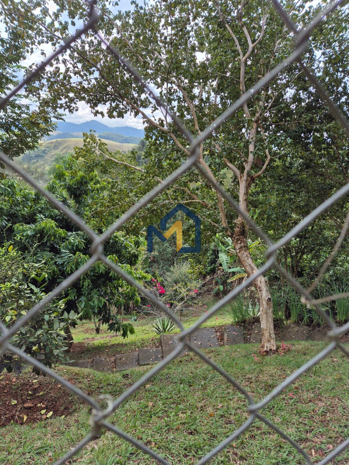 Sítio, 2 quartos, 3860 m² - Foto 6