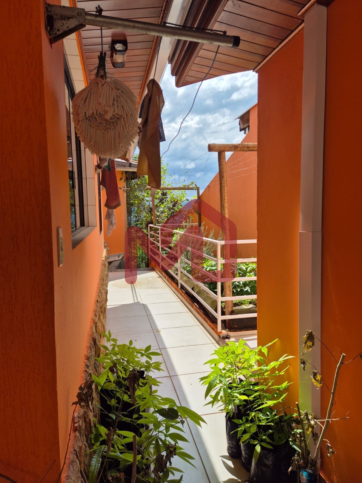 Sítio, 2 quartos, 3860 m² - Foto 10