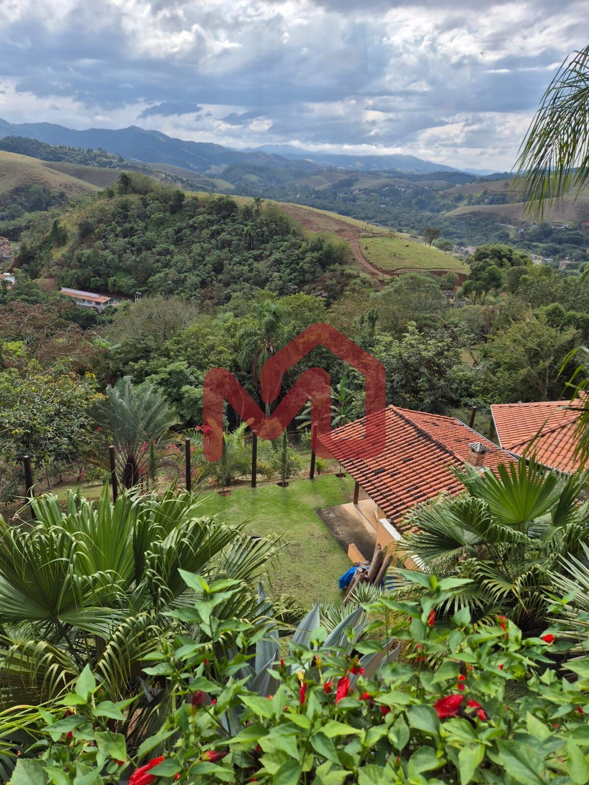 Sítio, 2 quartos, 3860 m² - Foto 47