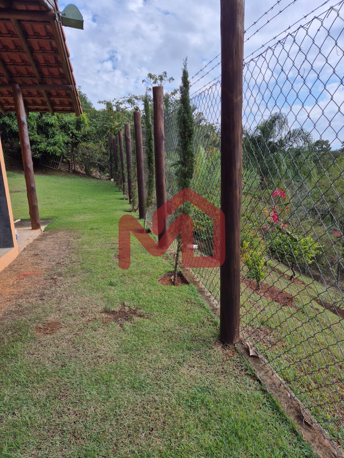 Sítio, 2 quartos, 3860 m² - Foto 5