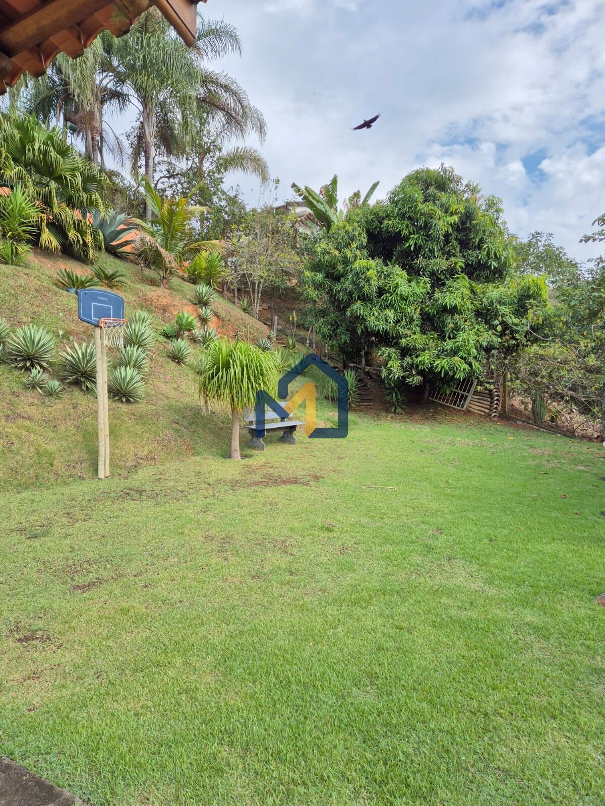 Sítio, 2 quartos, 3860 m² - Foto 46