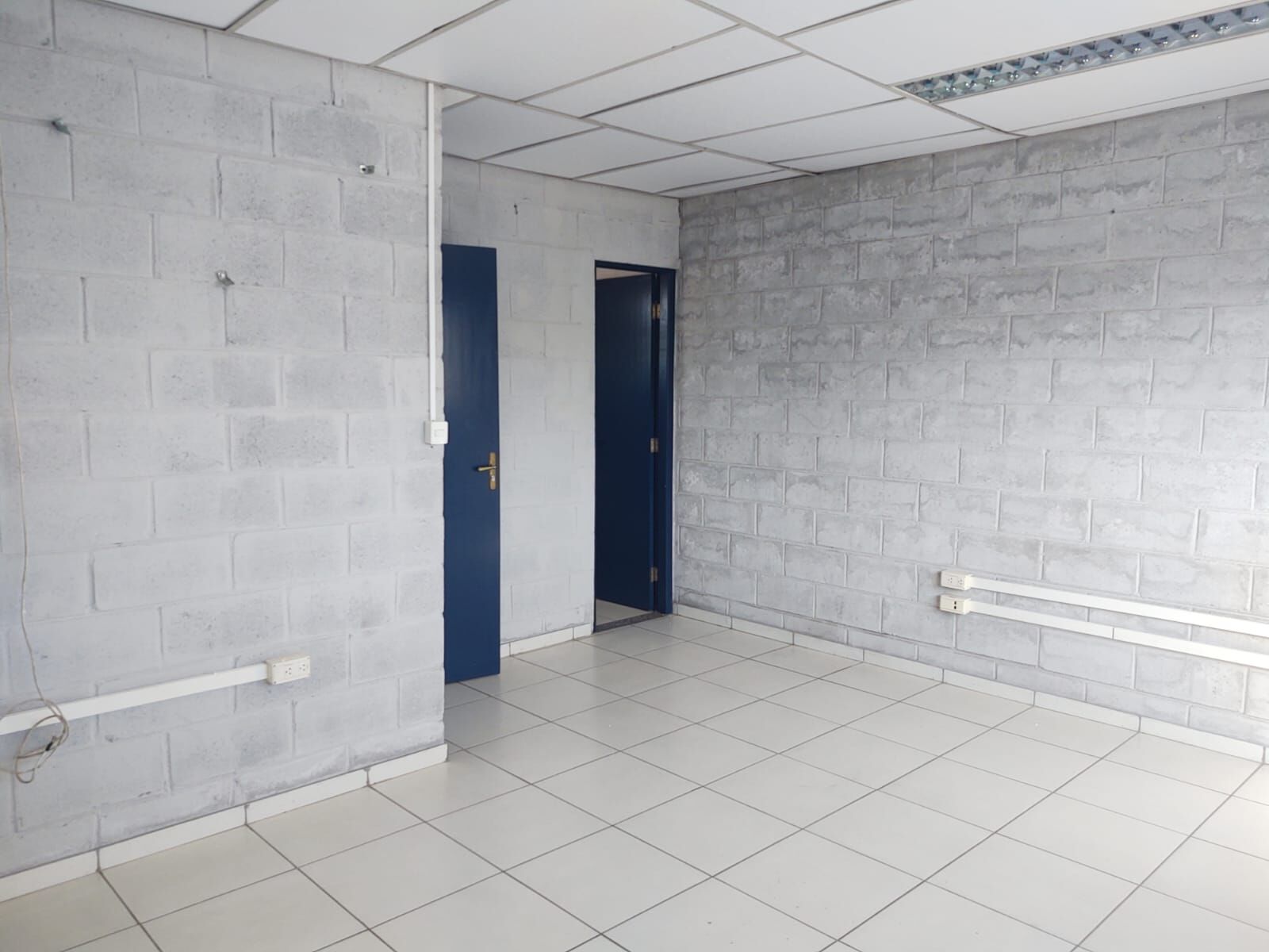 Depósito-Galpão, 1560 m² - Foto 6