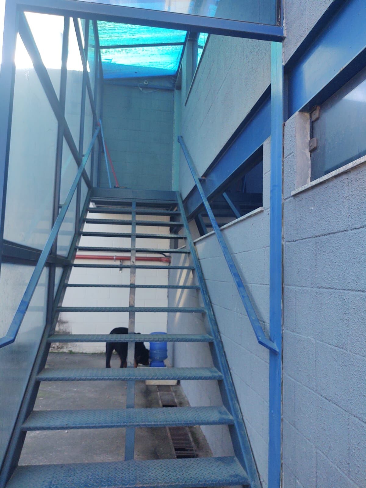 Depósito-Galpão, 1560 m² - Foto 12