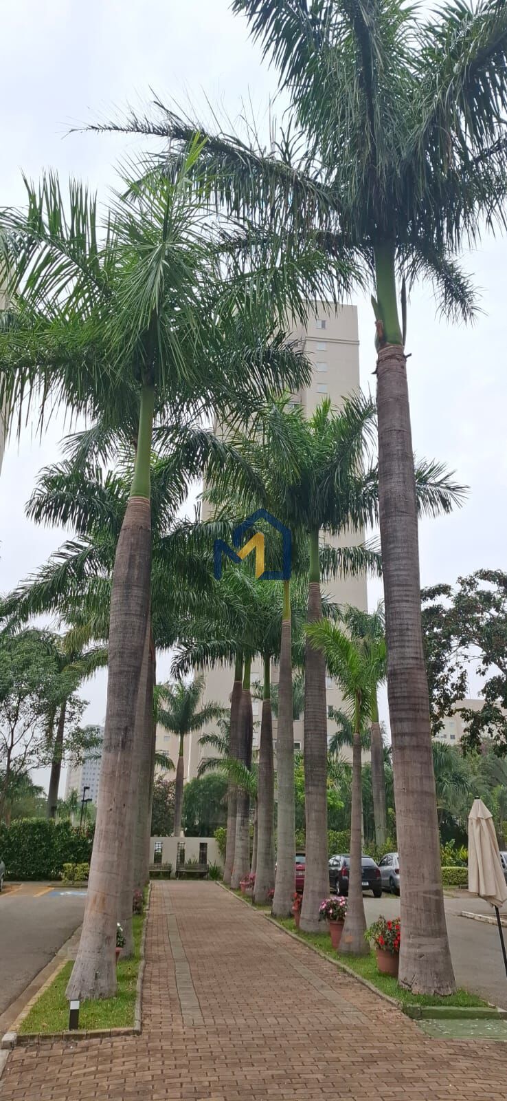 Apartamento, 2 quartos, 45 m² - Foto 32