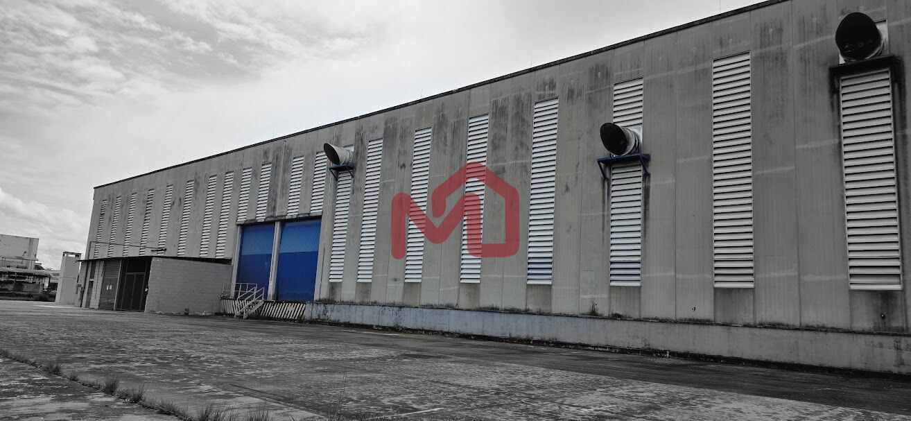 Depósito-Galpão, 10000 m² - Foto 17