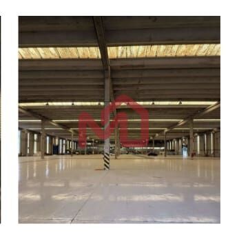 Depósito-Galpão, 10000 m² - Foto 5