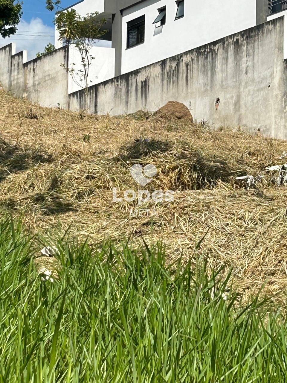 Terreno, 1200 m² - Foto 3