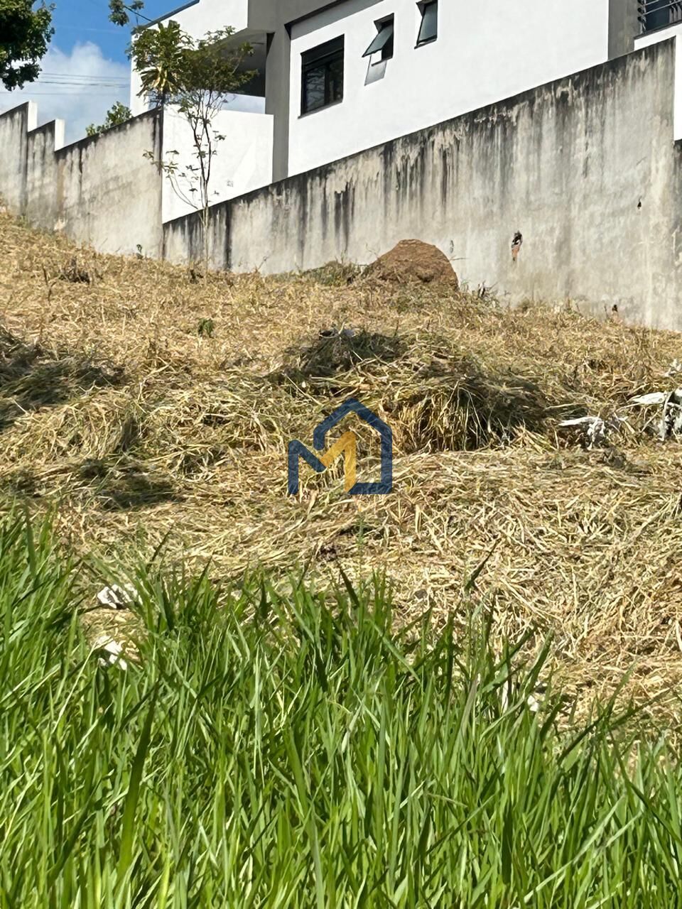 Terreno, 1200 m² - Foto 3