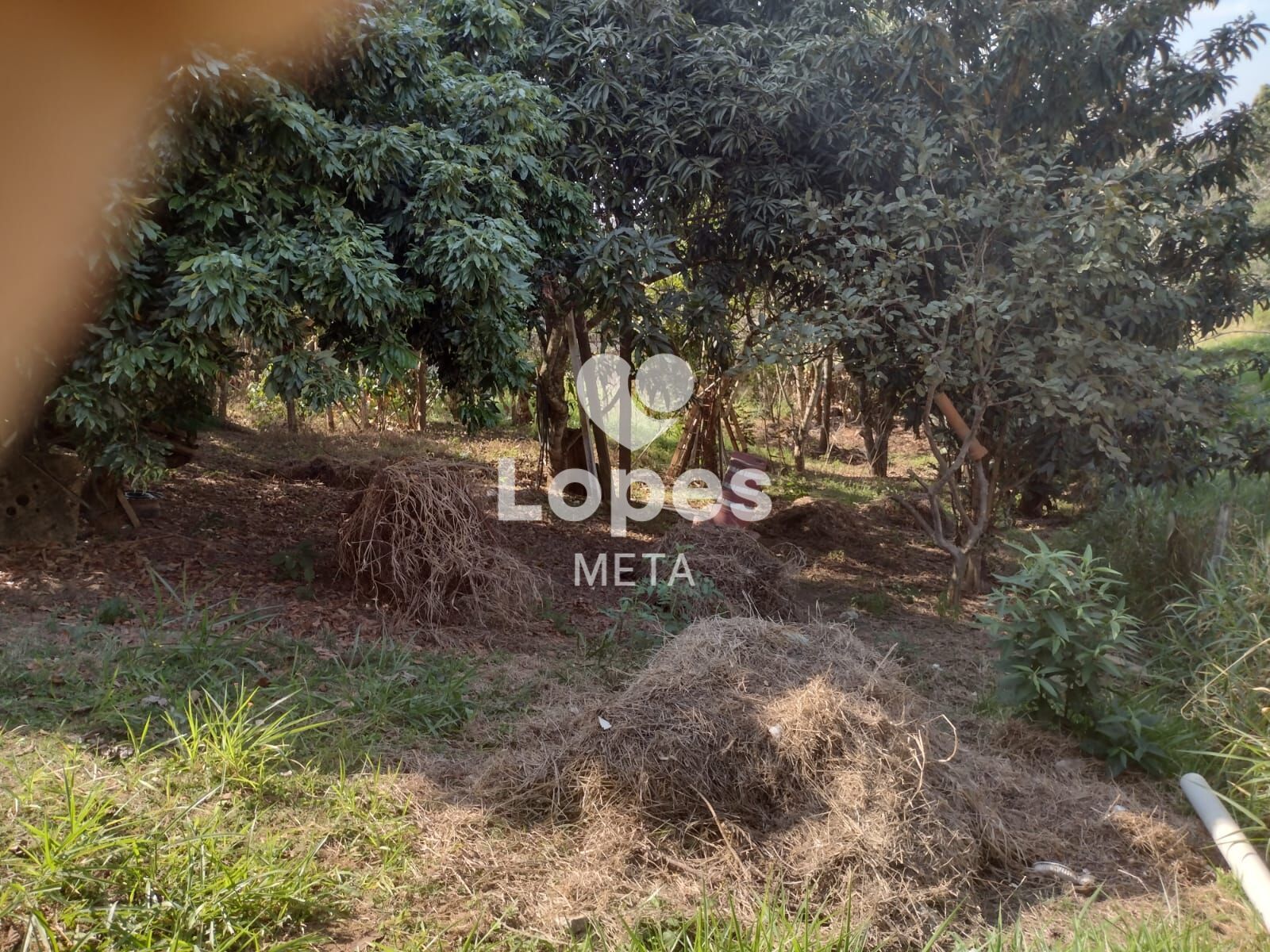 Chácara à venda com 3 quartos, 1300m² - Foto 13