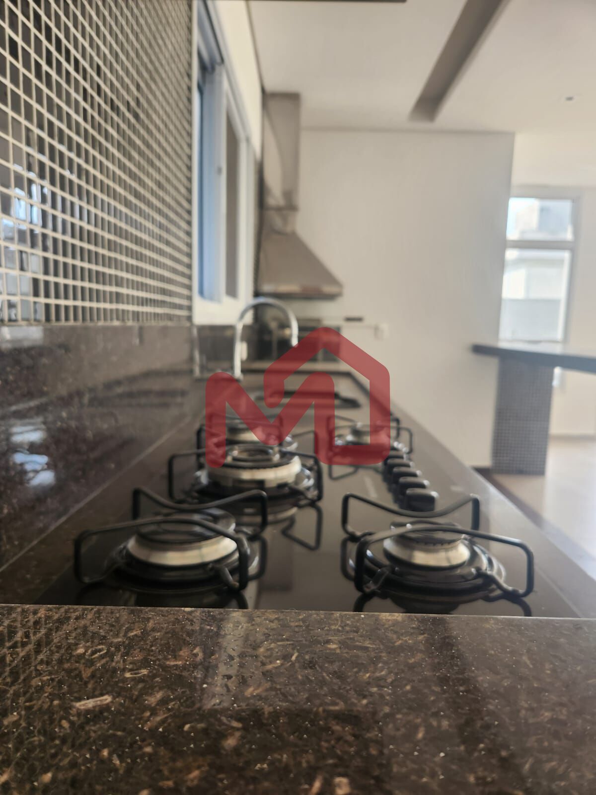 Casa, 4 quartos, 450 m² - Foto 18