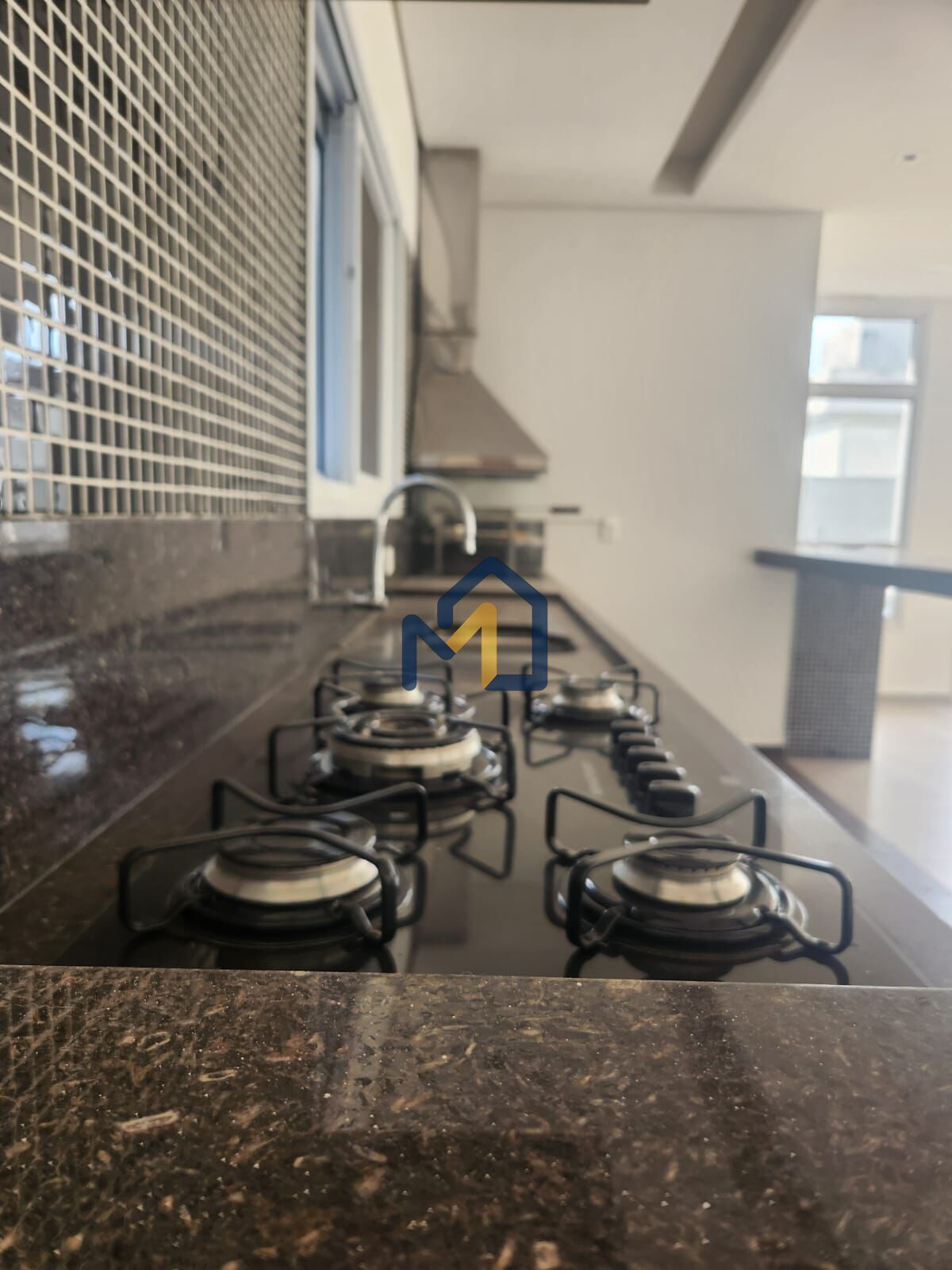 Casa, 4 quartos, 450 m² - Foto 18