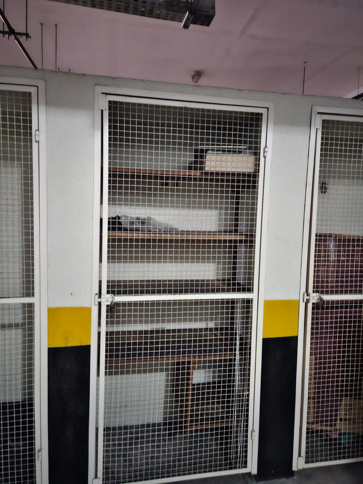 Apartamento, 3 quartos, 65 m² - Foto 26