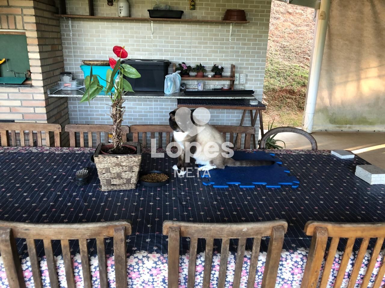 Chácara, 2 quartos, 6000 m² - Foto 4