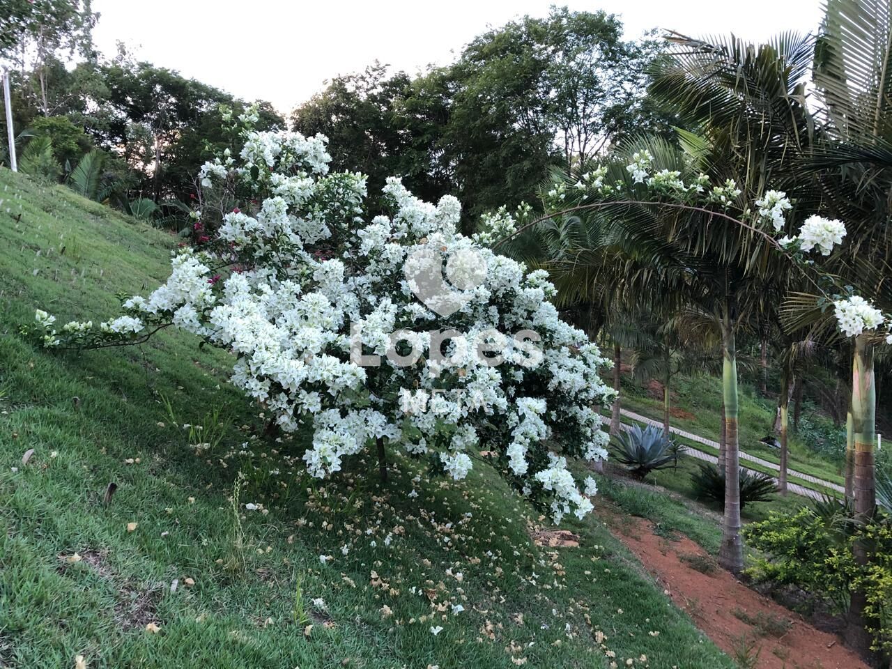 Chácara, 2 quartos, 6000 m² - Foto 15