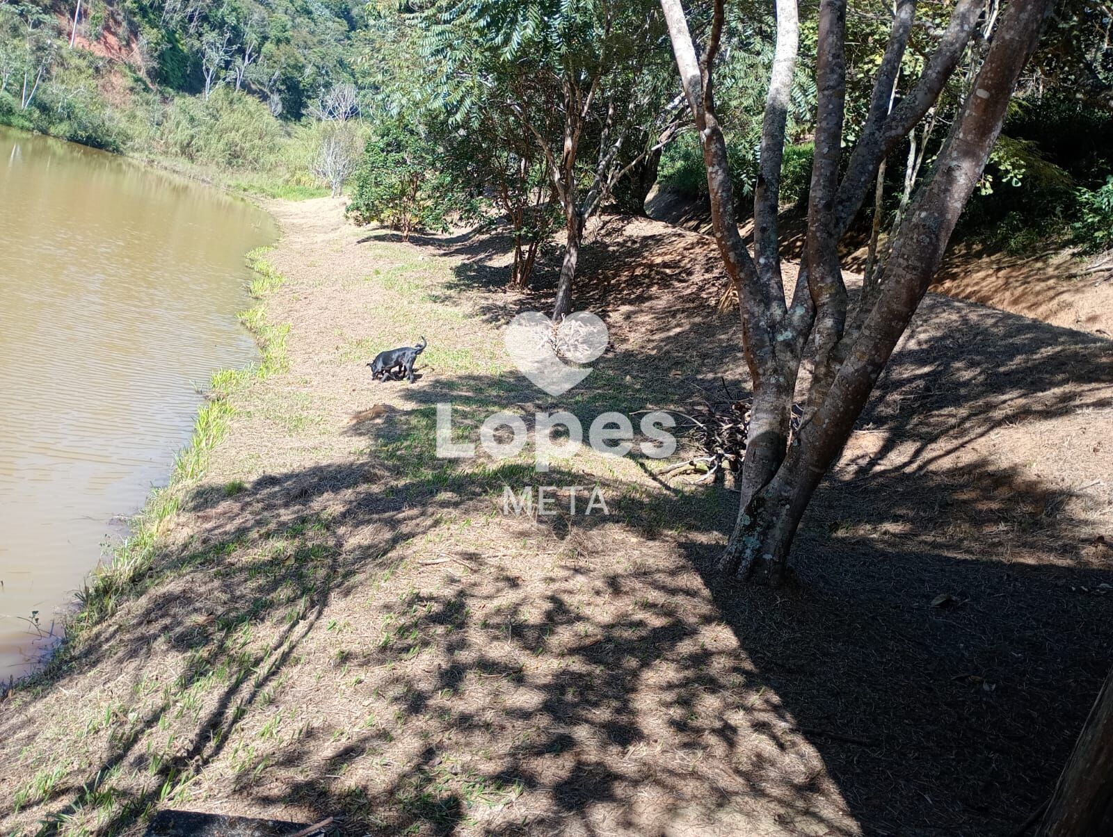 Chácara, 2 quartos, 6000 m² - Foto 12