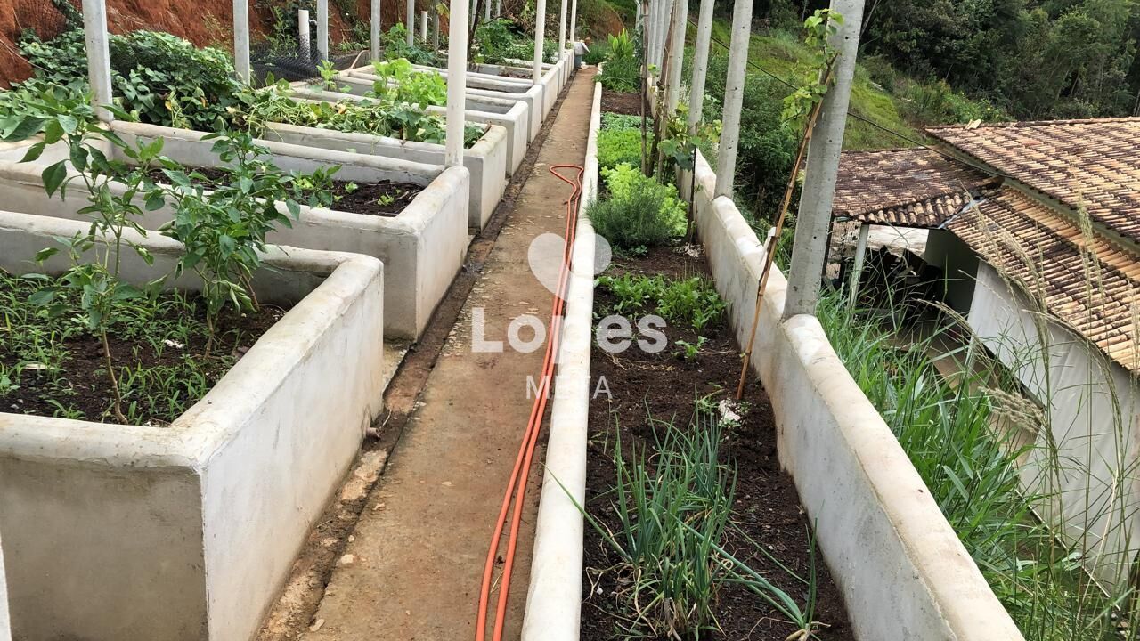 Chácara, 2 quartos, 6000 m² - Foto 20