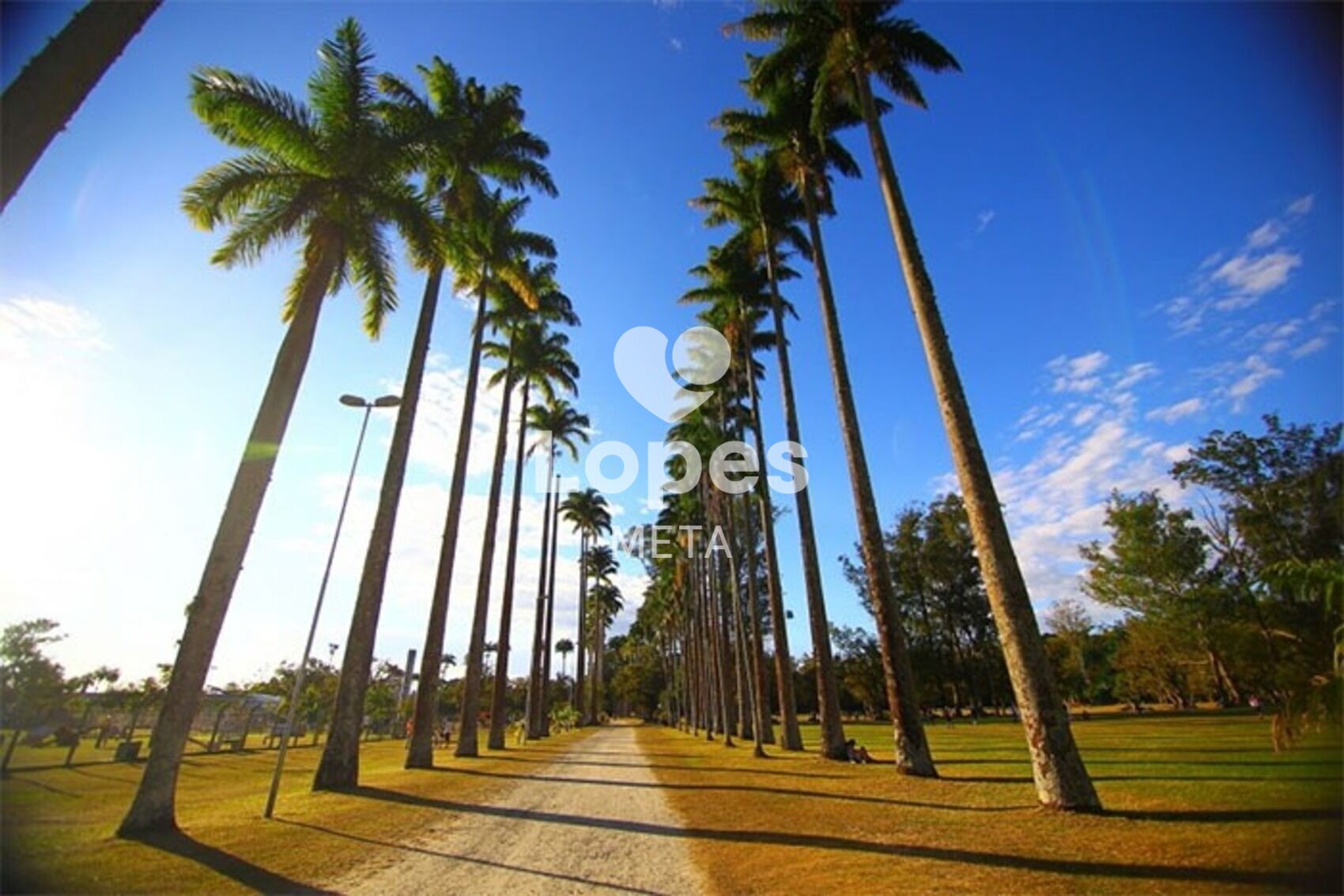Apartamento para alugar com 3 quartos, 69m² - Foto 30