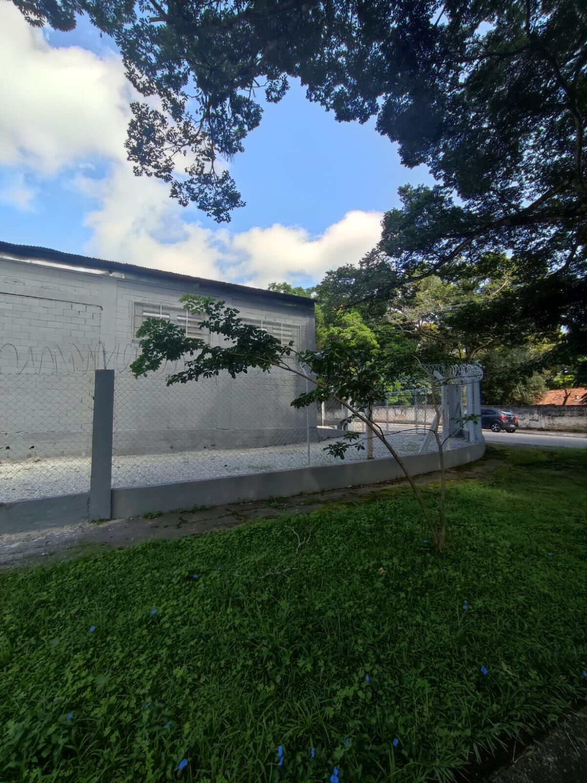 Depósito-Galpão, 262 m² - Foto 29