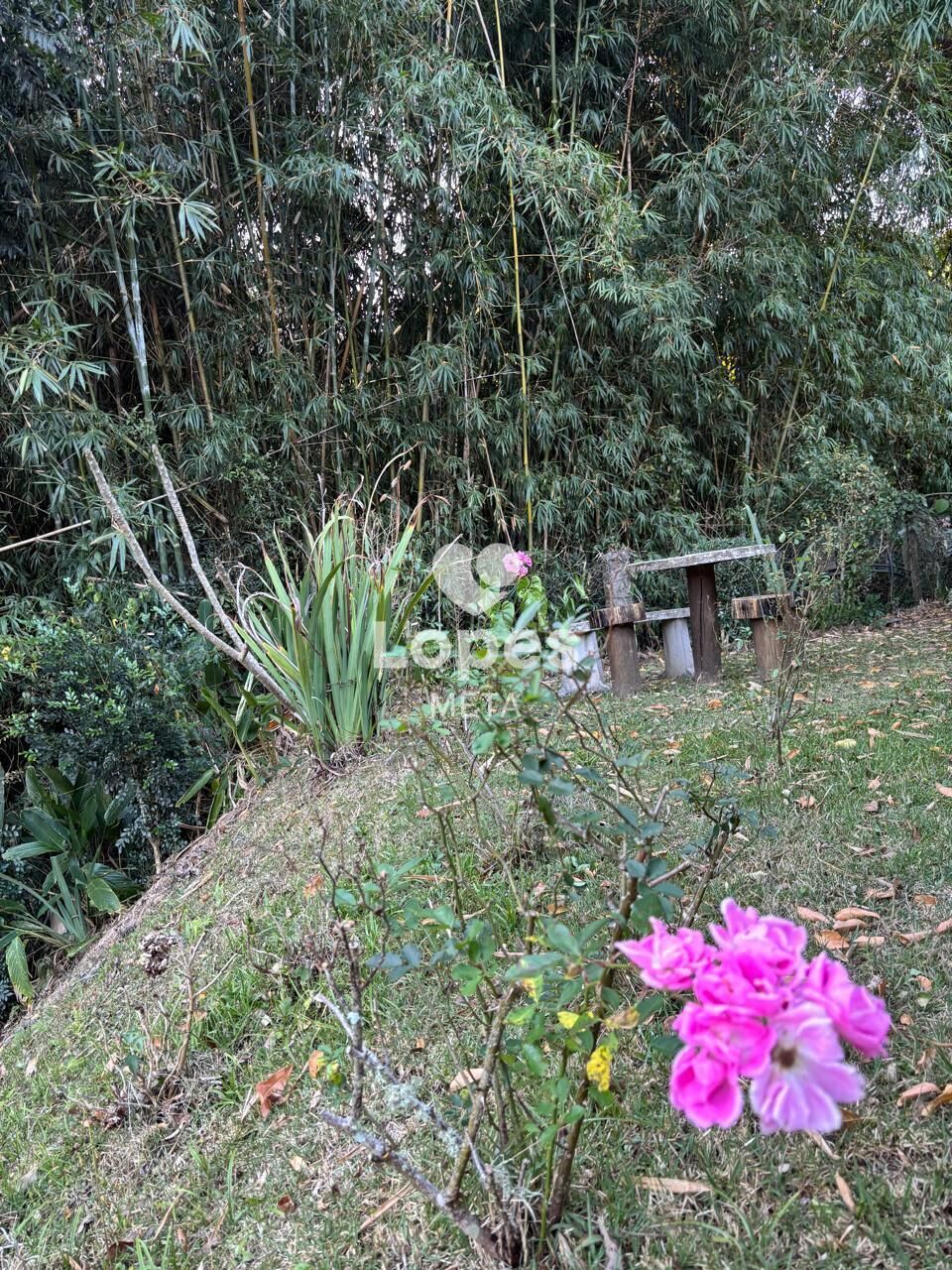 Chácara, 3 quartos, 2500 m² - Foto 29