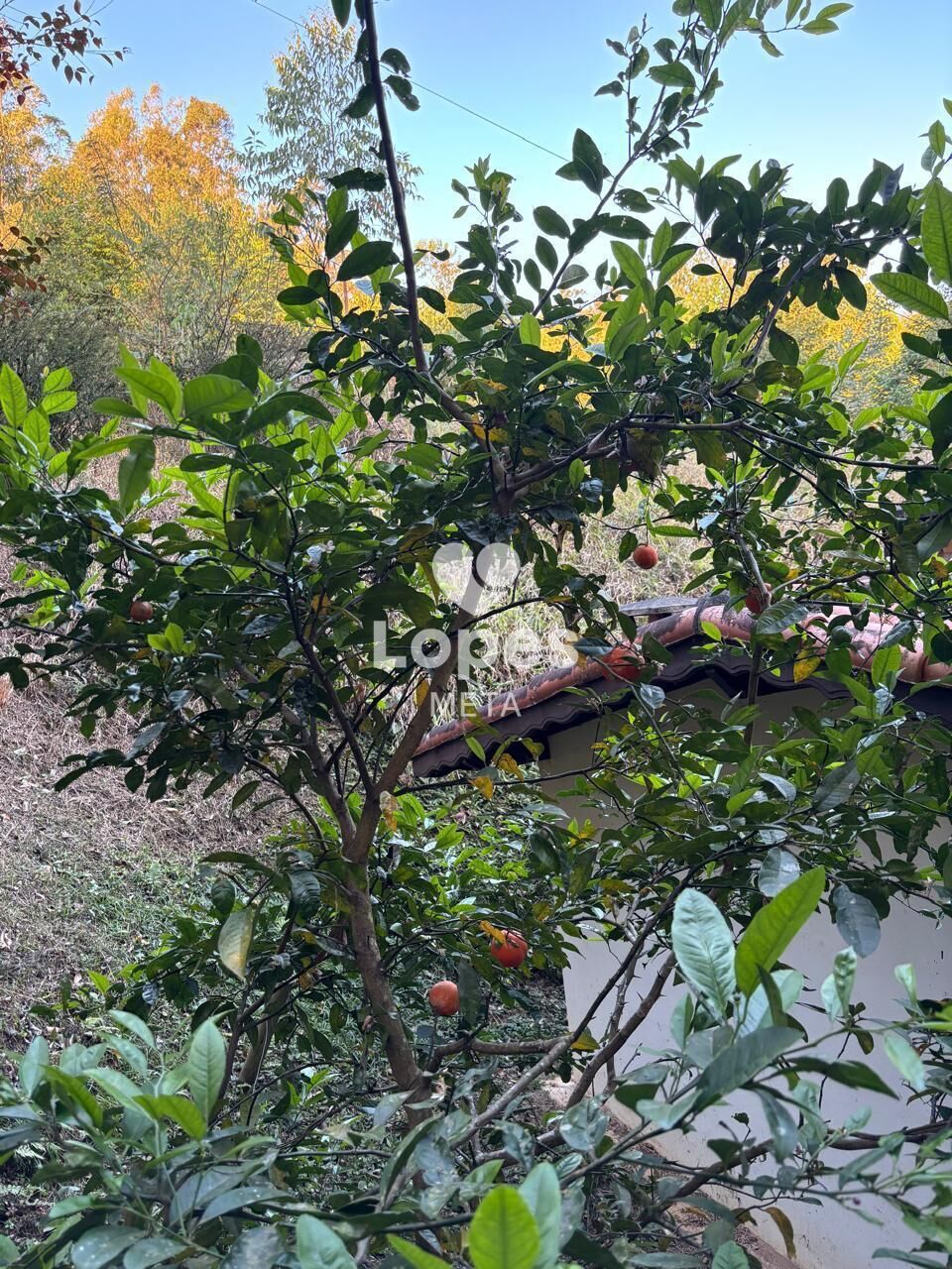 Chácara, 3 quartos, 2500 m² - Foto 28