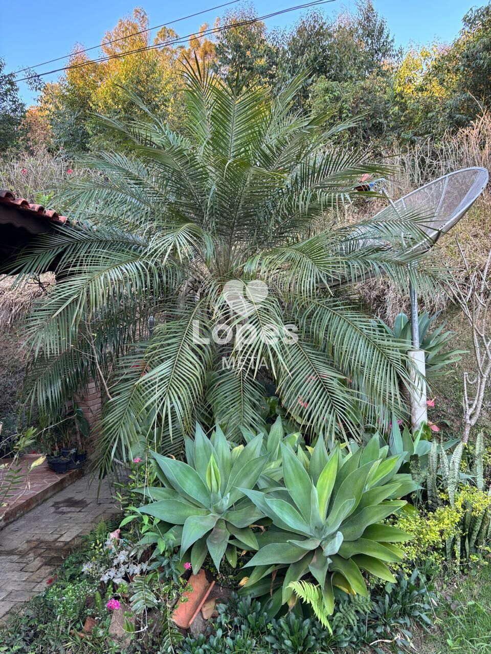 Chácara, 3 quartos, 2500 m² - Foto 24