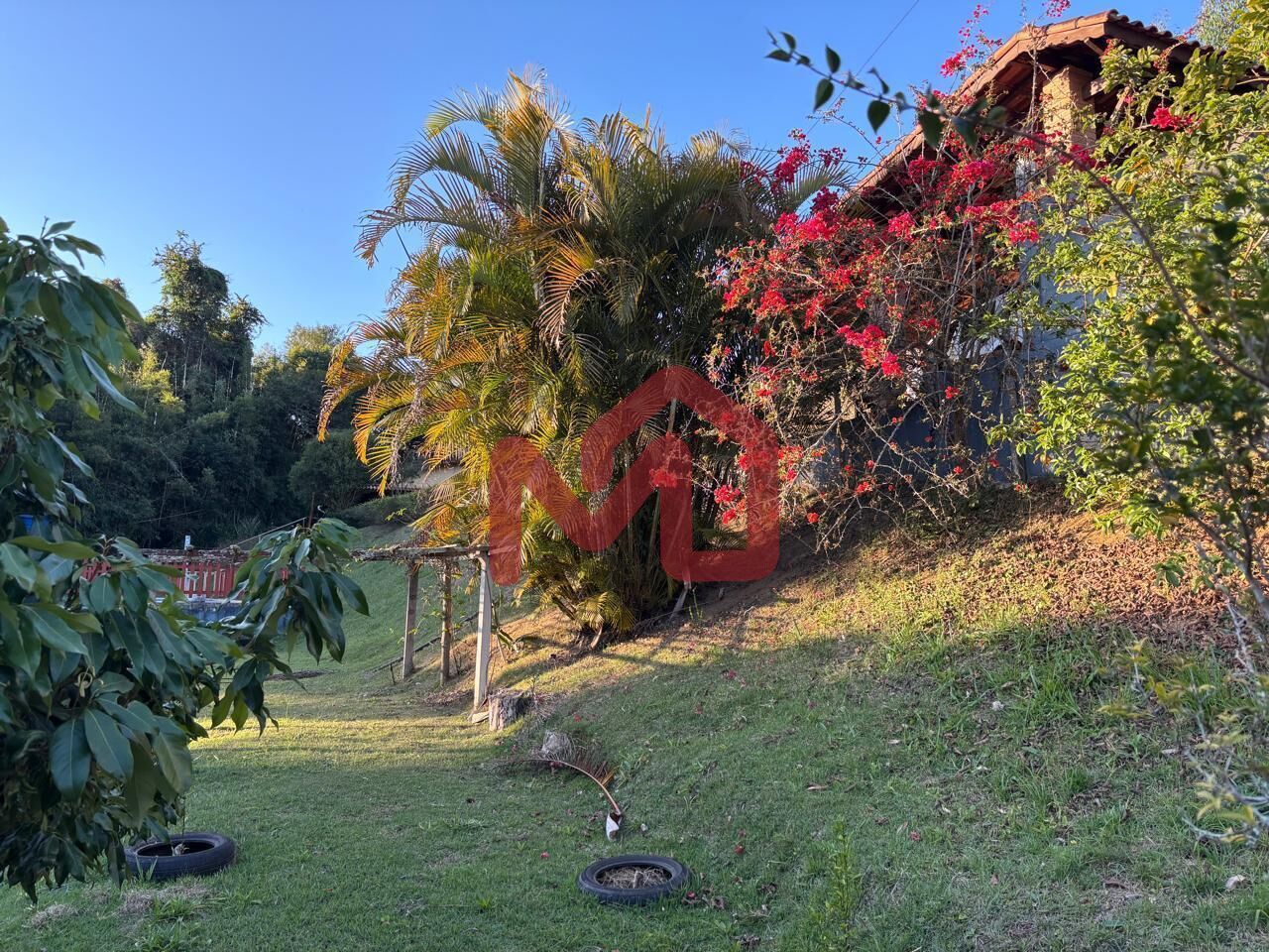 Chácara, 3 quartos, 2500 m² - Foto 41
