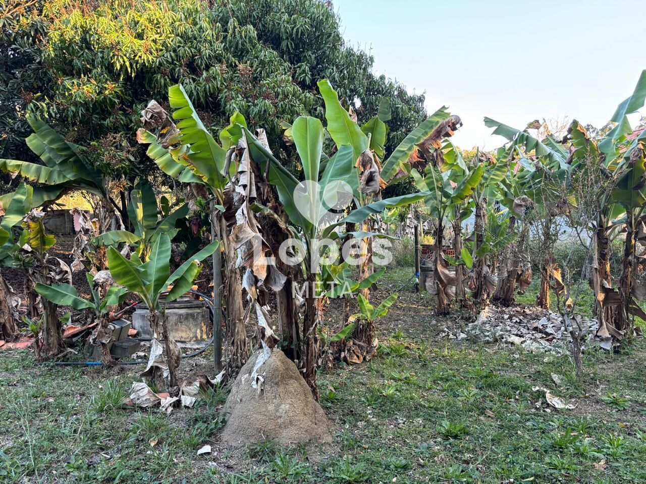 Chácara, 3 quartos, 2500 m² - Foto 35