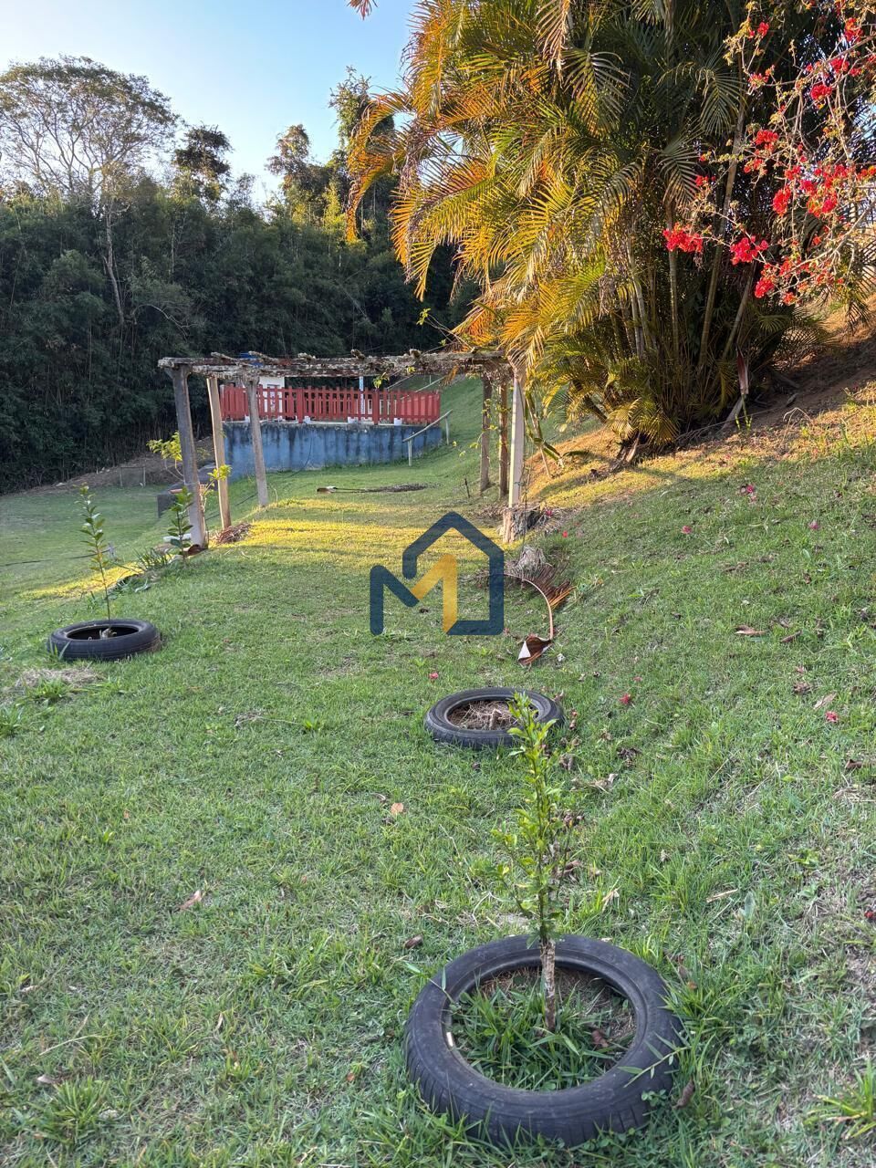 Chácara, 3 quartos, 2500 m² - Foto 40