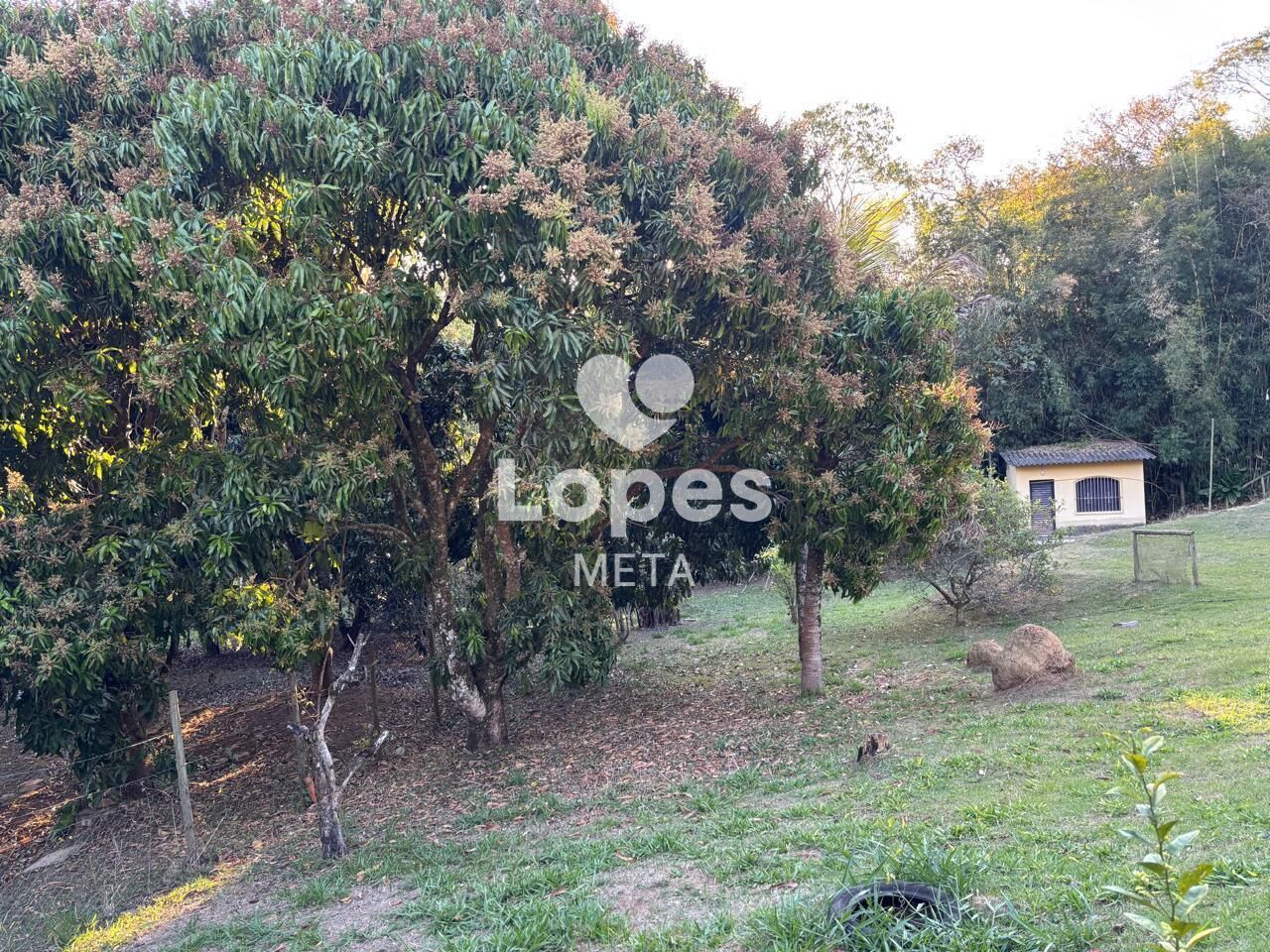 Chácara, 3 quartos, 2500 m² - Foto 38