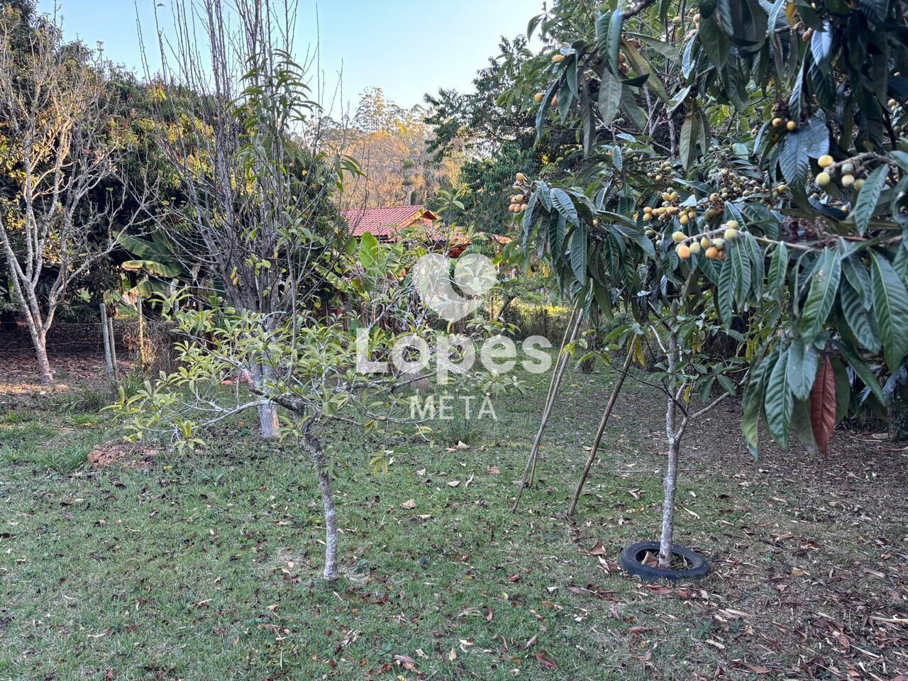 Chácara, 3 quartos, 2500 m² - Foto 36