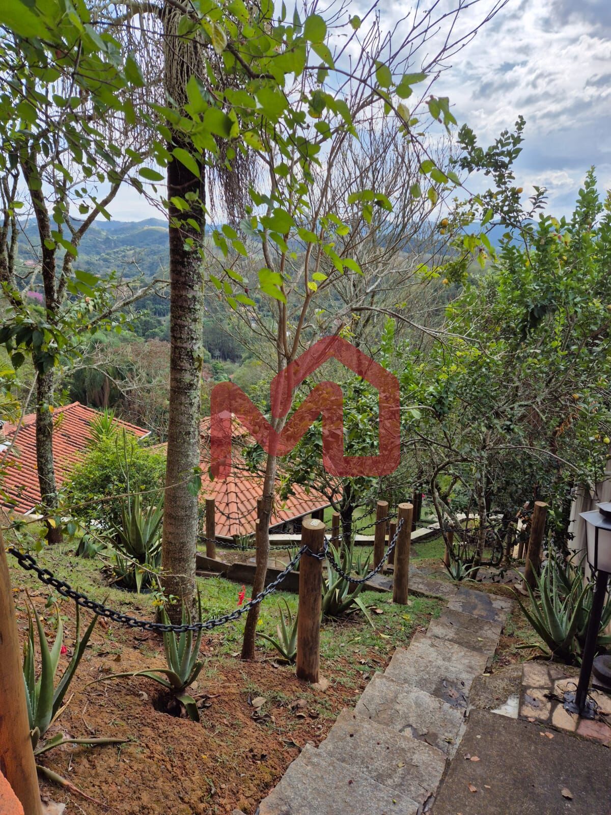 Sítio, 2 quartos, 3860 m² - Foto 39