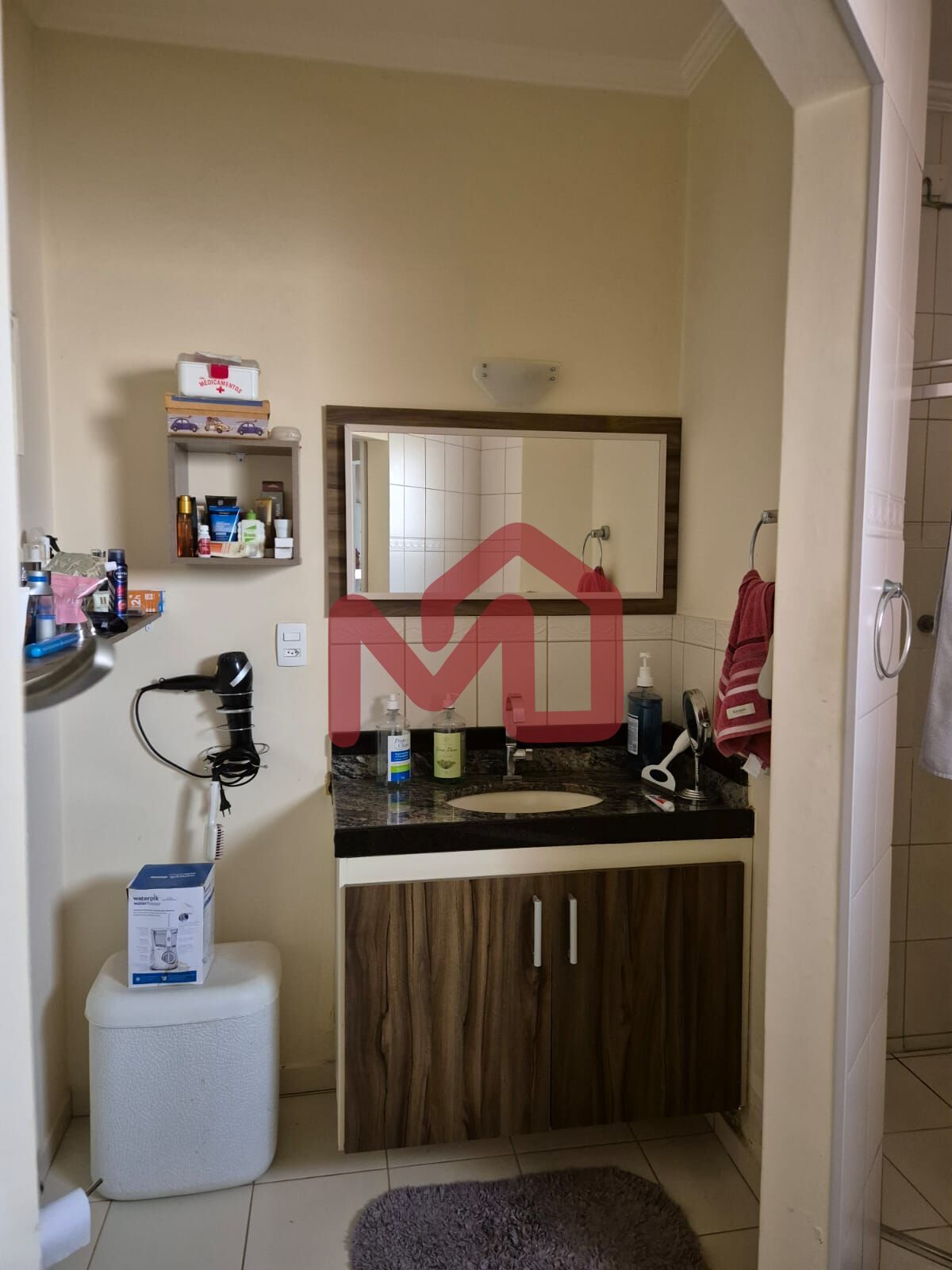 Sítio, 2 quartos, 3860 m² - Foto 38