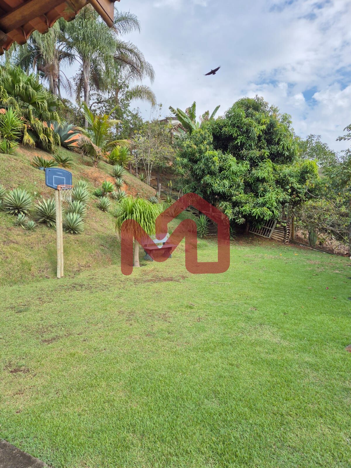 Sítio, 2 quartos, 3860 m² - Foto 46
