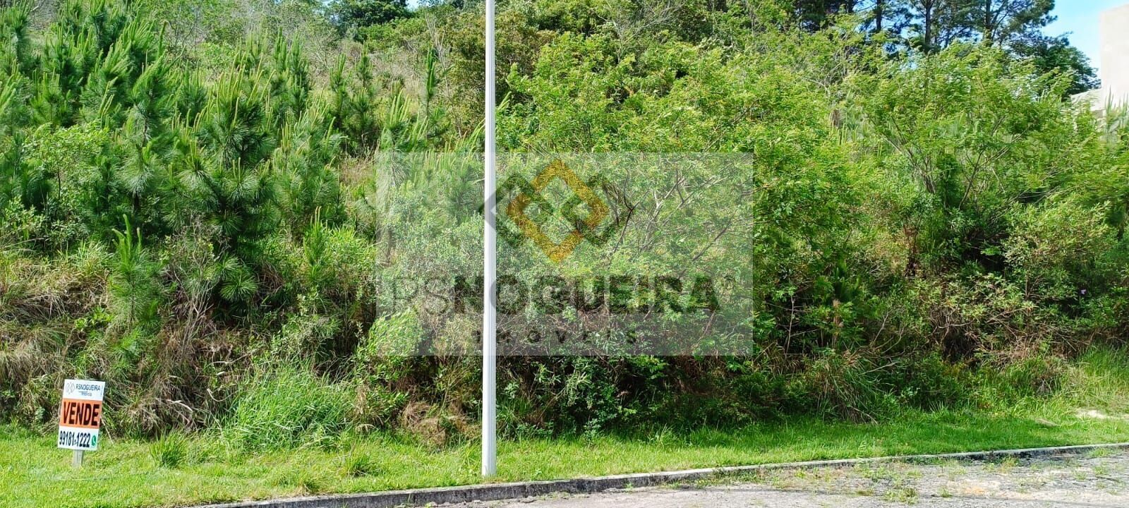 Terreno, 459 m² - Foto 5