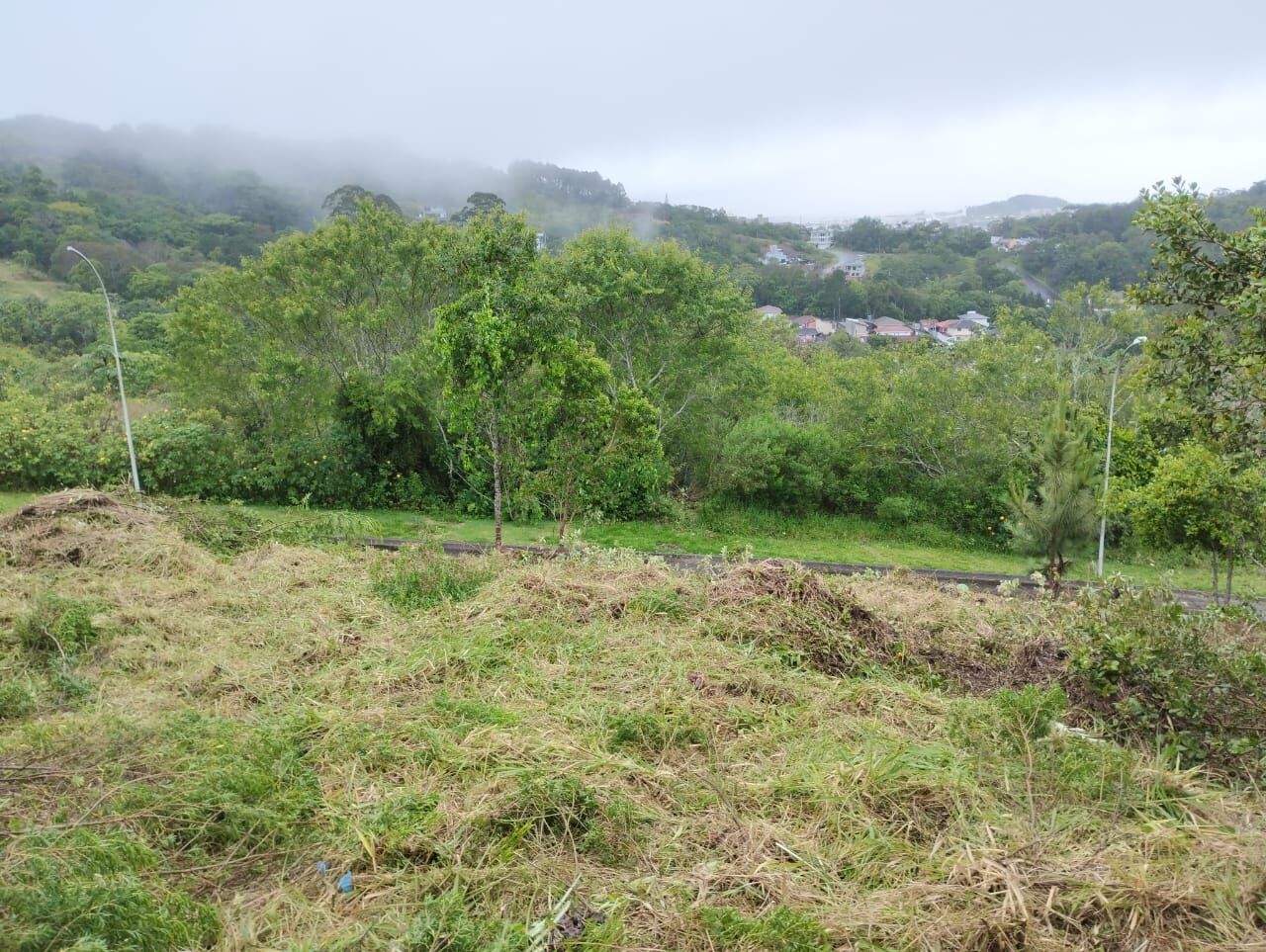 Terreno à venda, 492 - Foto 23