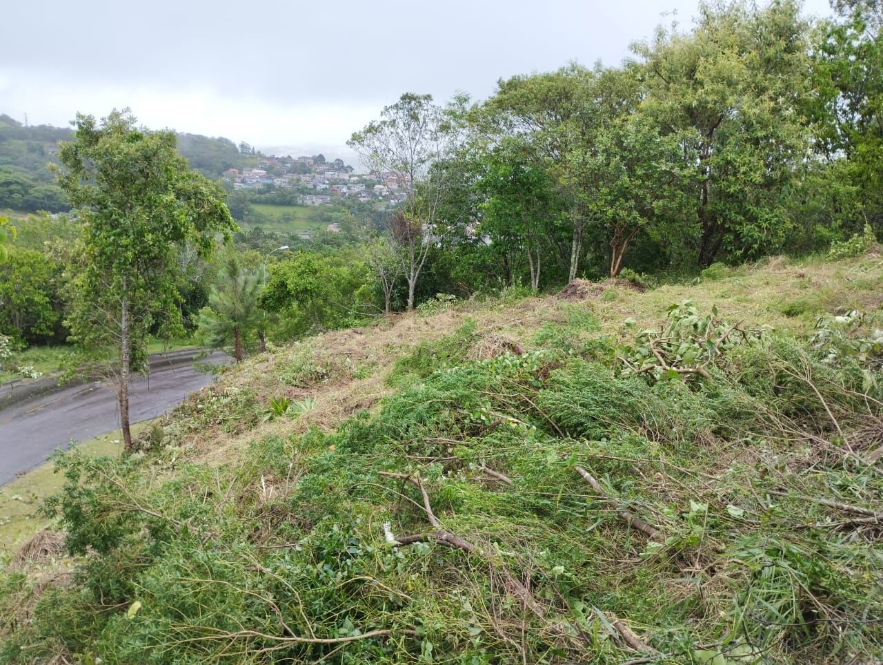 Terreno à venda, 492 - Foto 17