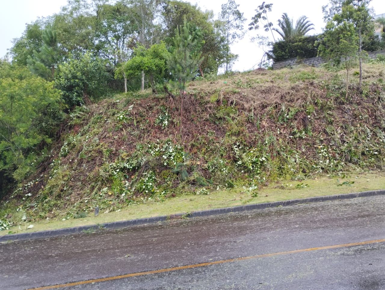 Terreno à venda, 492 - Foto 13