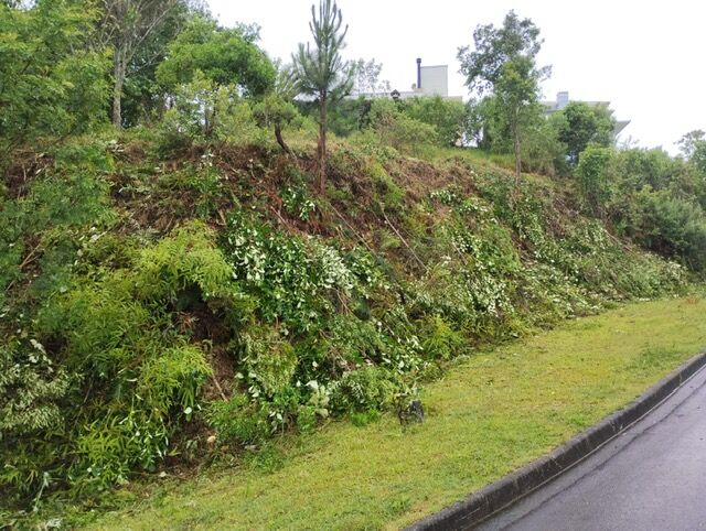 Terreno à venda, 492 - Foto 31