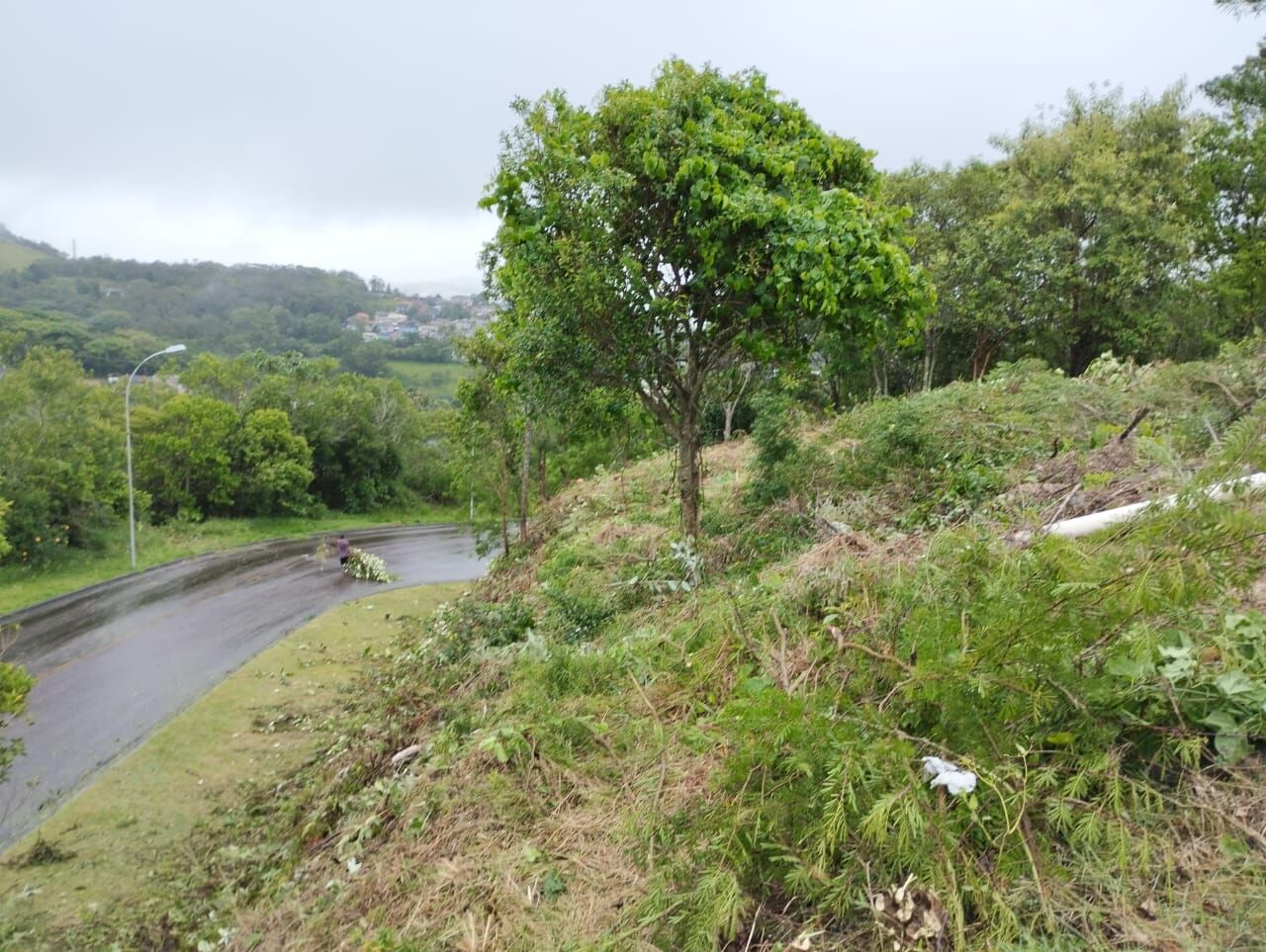 Terreno à venda, 492 - Foto 16