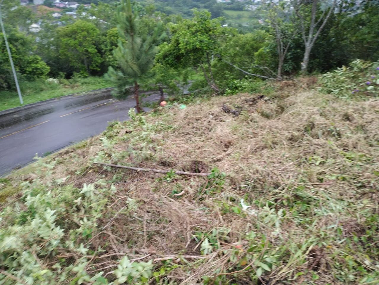 Terreno à venda, 492 - Foto 25