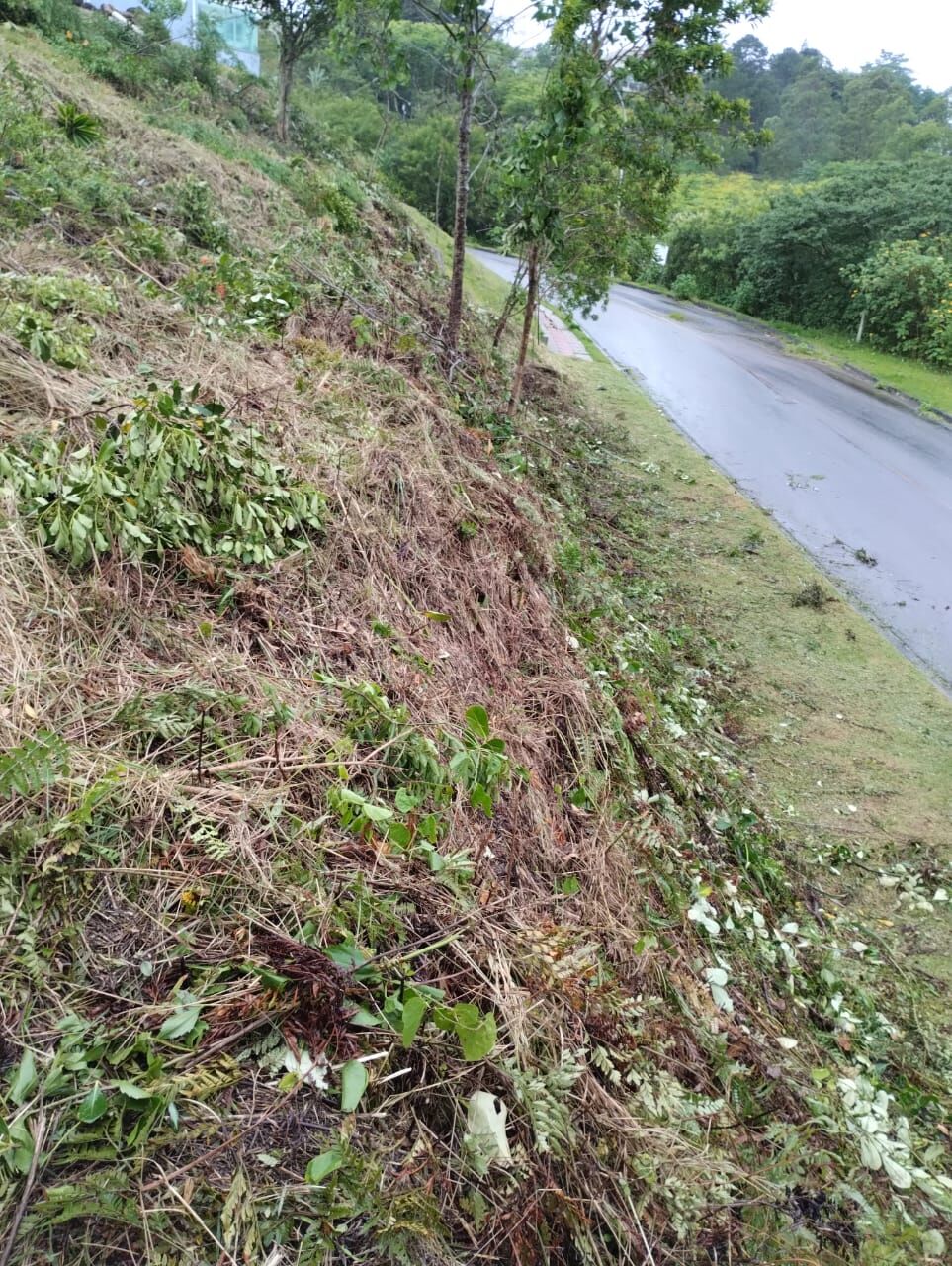 Terreno à venda, 492 - Foto 27